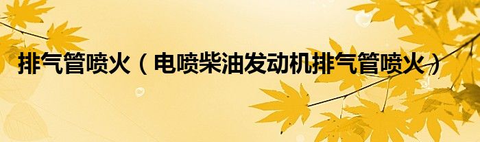 排气管喷火（电喷柴油发动机排气管喷火）