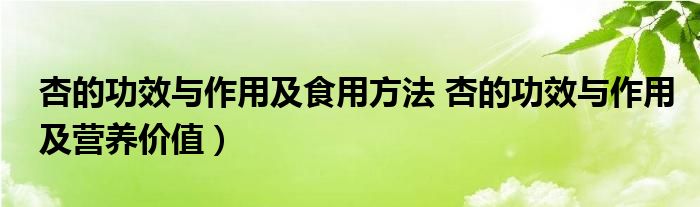 杏的功效与作用及食用方法 杏的功效与作用及营养价值）