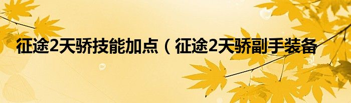 征途2天骄技能加点（征途2天骄副手装备