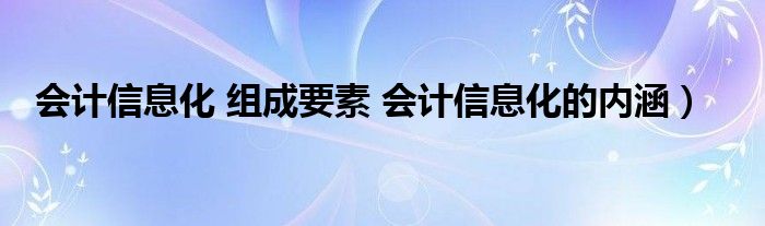 会计信息化 组成要素 会计信息化的内涵）