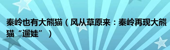 秦岭也有大熊猫（风从草原来：秦岭再现大熊猫“遛娃”）