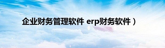 企业财务管理软件 erp财务软件）