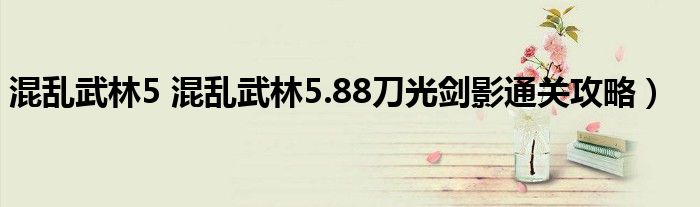 混乱武林5 混乱武林5.88刀光剑影通关攻略）