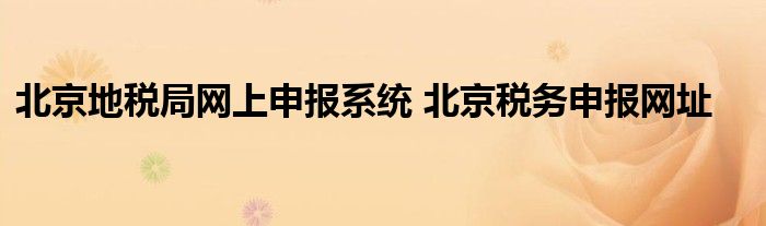 北京地税局网上申报系统 北京税务申报网址