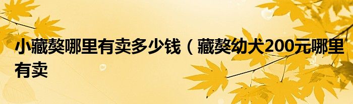 小藏獒哪里有卖多少钱（藏獒幼犬200元哪里有卖