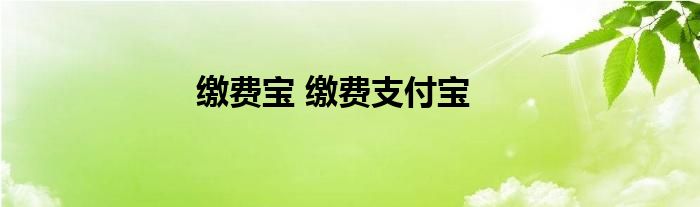 缴费宝 缴费支付宝