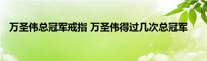 万圣伟总冠军戒指 万圣伟得过几次总冠军