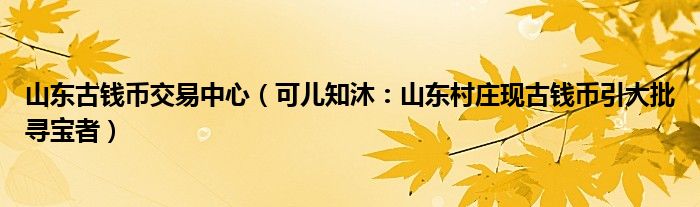 山东古钱币交易中心（可儿知沐：山东村庄现古钱币引大批寻宝者）