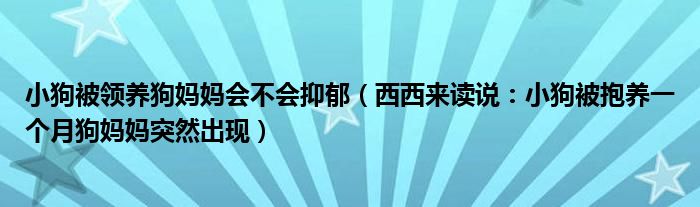 小狗被领养狗妈妈会不会抑郁（西西来读说：小狗被抱养一个月狗妈妈突然出现）