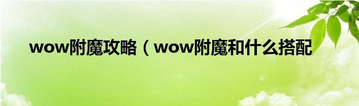 wow附魔攻略（wow附魔和什么搭配