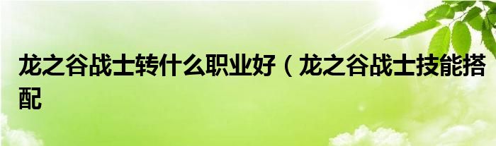 龙之谷战士转什么职业好（龙之谷战士技能搭配