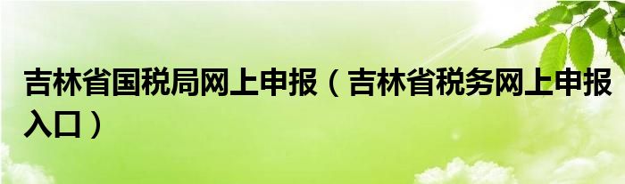 吉林省国税局网上申报（吉林省税务网上申报入口）