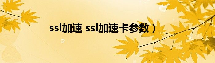 ssl加速 ssl加速卡参数）