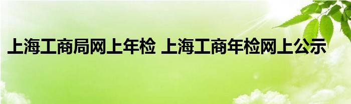 上海工商局网上年检 上海工商年检网上公示