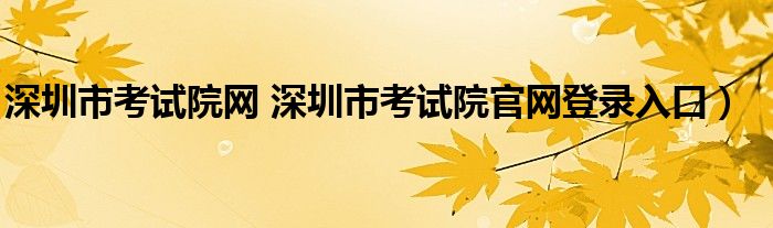 深圳市考试院网 深圳市考试院官网登录入口）