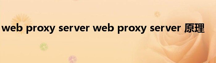 web proxy server web proxy server 原理