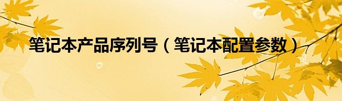 笔记本产品序列号（笔记本配置参数）