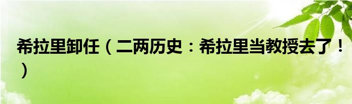 希拉里卸任（二两历史：希拉里当教授去了！）