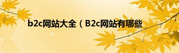 b2c网站大全（B2c网站有哪些