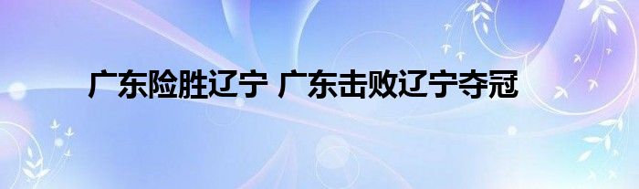 广东险胜辽宁 广东击败辽宁夺冠