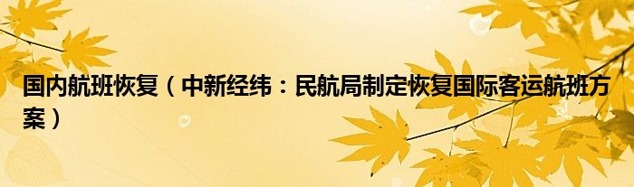 国内航班恢复（中新经纬：民航局制定恢复国际客运航班方案）