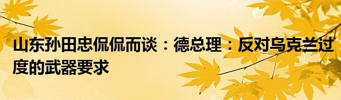 山东孙田忠侃侃而谈：德总理：反对乌克兰过度的武器要求