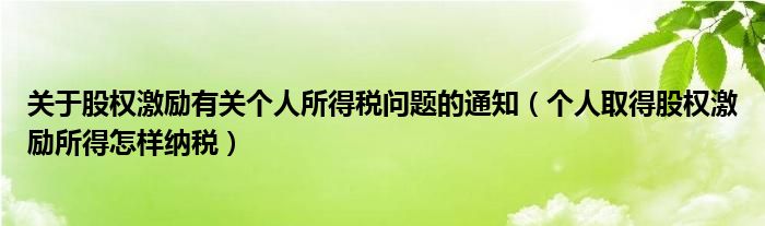 关于股权激励有关个人所得税问题的通知（个人取得股权激励所得怎样纳税）