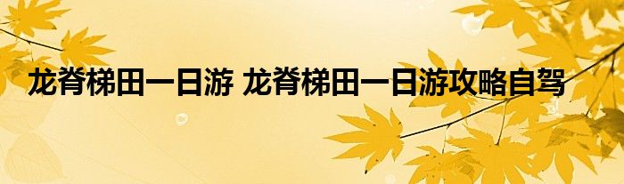 龙脊梯田一日游 龙脊梯田一日游攻略自驾