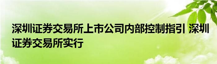 深圳证券交易所上市公司内部控制指引 深圳证券交易所实行