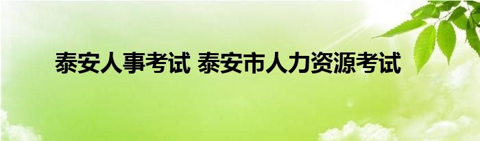 泰安人事考试 泰安市人力资源考试