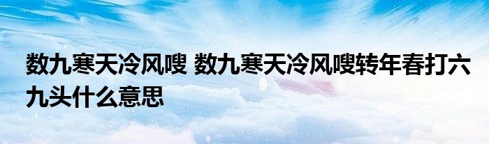 数九寒天冷风嗖 数九寒天冷风嗖转年春打六九头什么意思