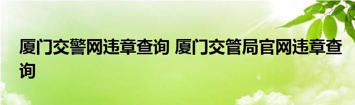 厦门交警网违章查询 厦门交管局官网违章查询