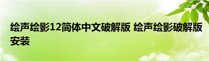 绘声绘影12简体中文破解版 绘声绘影破解版安装