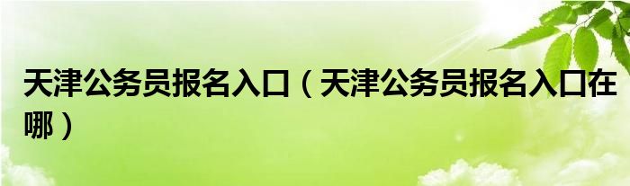 天津公务员报名入口（天津公务员报名入口在哪）