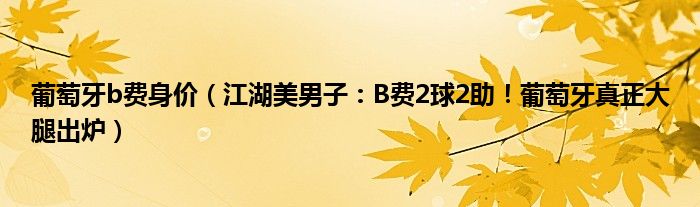 葡萄牙b费身价（江湖美男子：B费2球2助！葡萄牙真正大腿出炉）