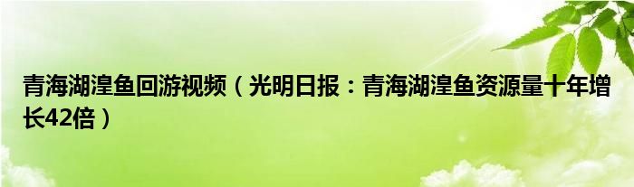 青海湖湟鱼回游视频（光明日报：青海湖湟鱼资源量十年增长42倍）