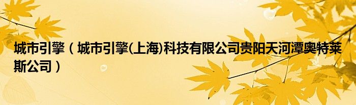 城市引擎（城市引擎(上海)科技有限公司贵阳天河潭奥特莱斯公司）