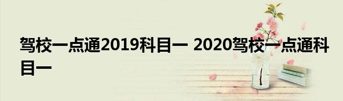 驾校一点通2019科目一 2020驾校一点通科目一