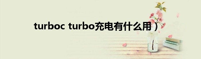 turboc turbo充电有什么用）