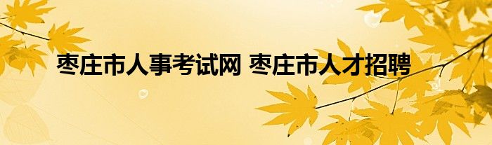 枣庄市人事考试网 枣庄市人才招聘