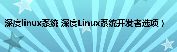 深度linux系统 深度Linux系统开发者选项）