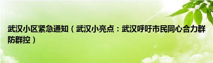 武汉小区紧急通知（武汉小亮点：武汉呼吁市民同心合力群防群控）