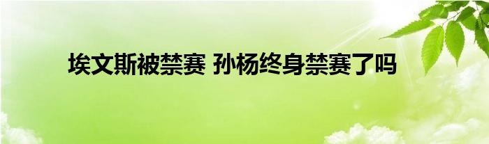 埃文斯被禁赛 孙杨终身禁赛了吗