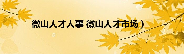 微山人才人事 微山人才市场）