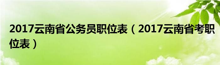 2017云南省公务员职位表（2017云南省考职位表）