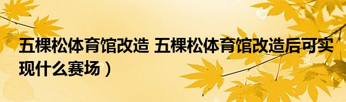 五棵松体育馆改造 五棵松体育馆改造后可实现什么赛场）