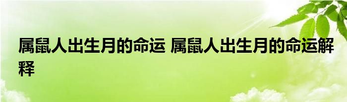 属鼠人出生月的命运 属鼠人出生月的命运解释