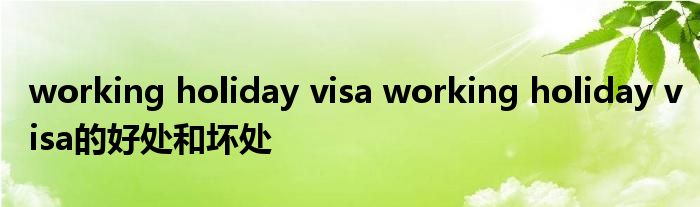 working holiday visa working holiday visa的好处和坏处