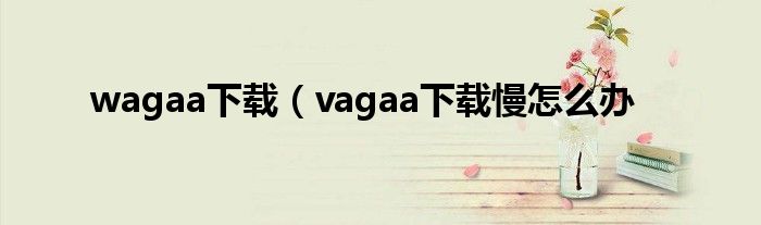 wagaa下载（vagaa下载慢怎么办