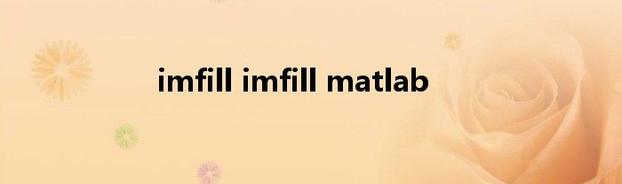 imfill imfill matlab